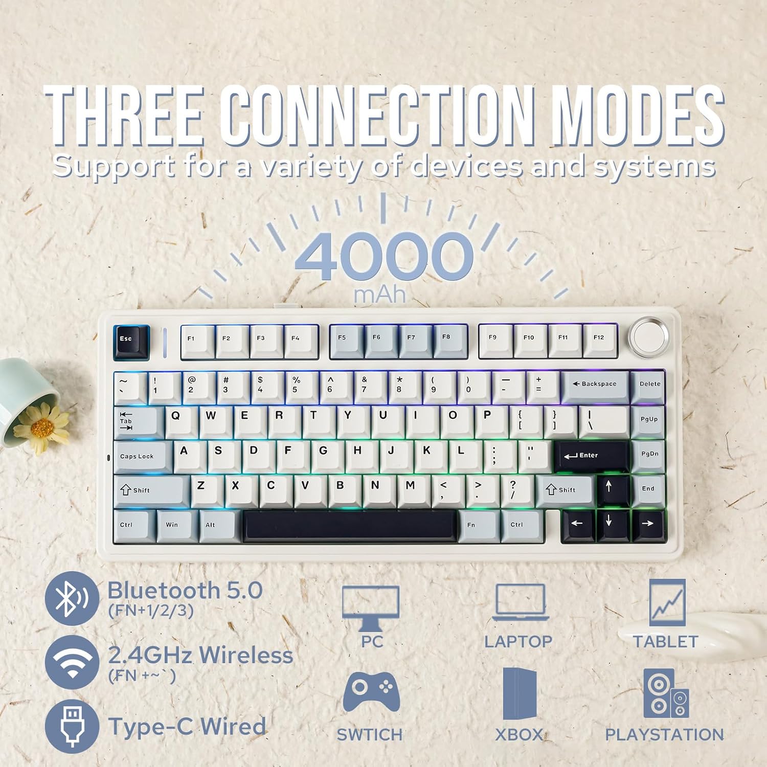 Pc Gaming Gigabyte - Aula F75 Mechanische Tastatur 75% Kabellos