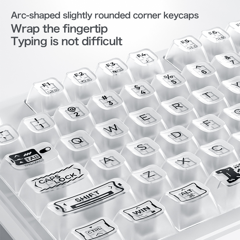 Kabelgebundene RGB Transparent – Anti-Ghosting Keyboard Bewertung und Preis